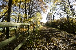 Taunus
