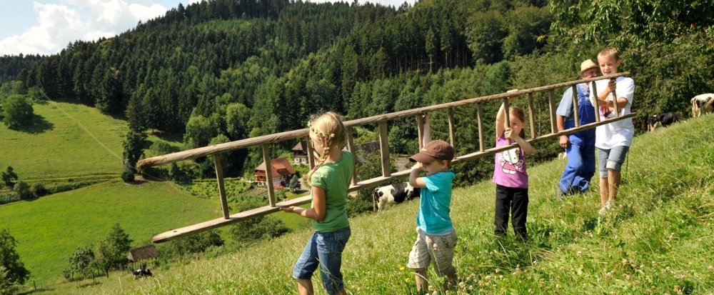 kinder-als-erntehelfer_ausschnitt_1377x569 (&copy; Susanne Mölle )