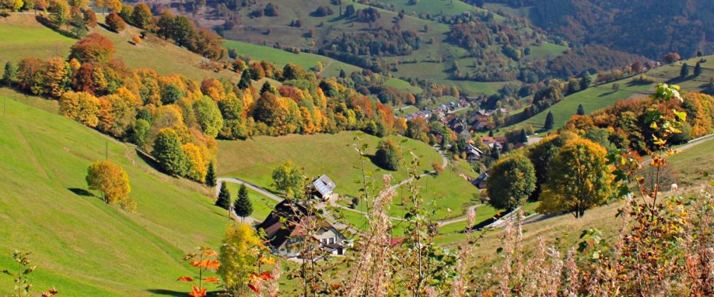 Schwarzwald Landschaft - Blick vom Wiedener Eck