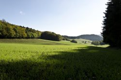 Spessart/ Kinzigtal