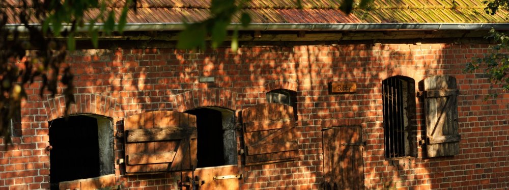 Stallgebaude-im-Schatten (&copy; Susanne Mölle )