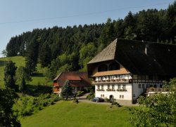 Suchen & Buchen