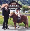 Ponyreiten