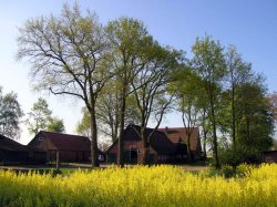 Unser Hof