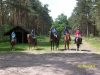 Reitergruppe im Wald