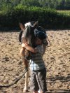 Ponyliebe,Reitunterricht
