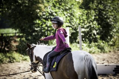 erste Reitstunde erste Reitstunde
