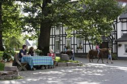 Ferienhof K&ouml;hne im Schmallenberger Sauerland