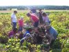 Kartoffelnachmittag auf dem Heidehof