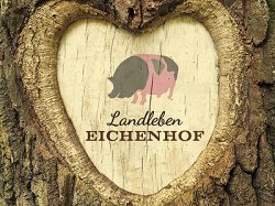 holzherzmitlogo_400x300