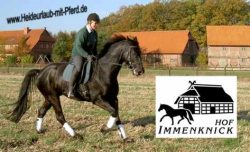 Reiten mit und ohne eigenem Pferd in der L&uuml;neburger Heide