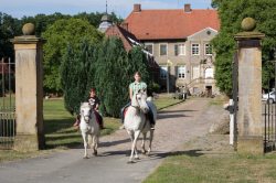 Schlosszufahrt