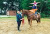 Voltigieren auf Katthusen