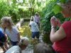 Kinder im Kneipptretbecken