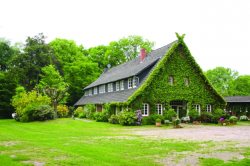 haus