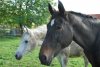 Anka und Chieva_dsc_0097