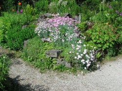 Alpengarten in Pfronten-Steinach