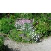 Alpengarten