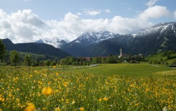 Frühlingslandschaft Saftige Blumenwiesen und schneebedeckte Gipfel - das ist ein Frühling wie man ihn sich nur wünschen kann. Hier im Pfrontener Tal erfüllen wir diesen Wunsch.