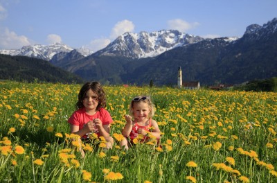 Kinder in Löwenzahnwiese (© Pfronten Tourismus/ E. Reiter : Pfronten Tourismus/ E. Reiter ) Kinder in Löwenzahnwiese (© Pfronten Tourismus/ E. Reiter : Pfronten Tourismus/ E. Reiter )