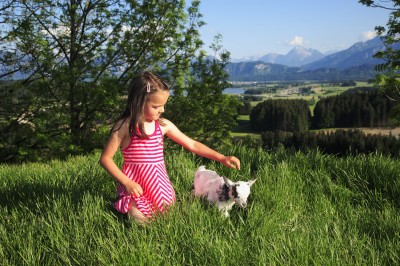 Mädchen mit Ziege (© Pfronten Tourismus/ E. Reiter : Pfronten Tourismus/ E. Reiter ) Mädchen mit Ziege (© Pfronten Tourismus/ E. Reiter : Pfronten Tourismus/ E. Reiter )