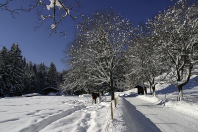 Winterwanderung zur Fallmühle (© Pfronten Tourismus/ E. Reiter : Pfronten Tourismus/ E. Reiter ) Winterwanderung zur Fallmühle (© Pfronten Tourismus/ E. Reiter : Pfronten Tourismus/ E. Reiter )