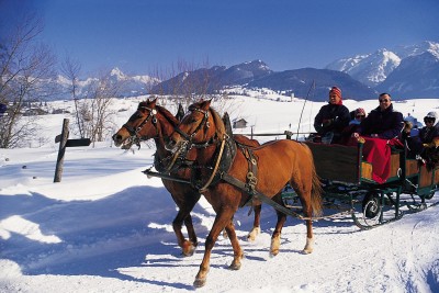 Romantische Pferdeschlittenfahrt (© Pfronten Tourismus/ E. Reiter : Pfronten Tourismus/ E. Reiter ) Romantische Pferdeschlittenfahrt (© Pfronten Tourismus/ E. Reiter : Pfronten Tourismus/ E. Reiter )