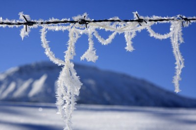 Stacheldraht mit Schneekristallen (&copy; Pfronten Tourismus/ E. Reiter : Pfronten Tourismus/ E. Reiter )
