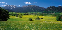 Talsicht im Mai Sicht auf das Pfrontener Tal im Mai