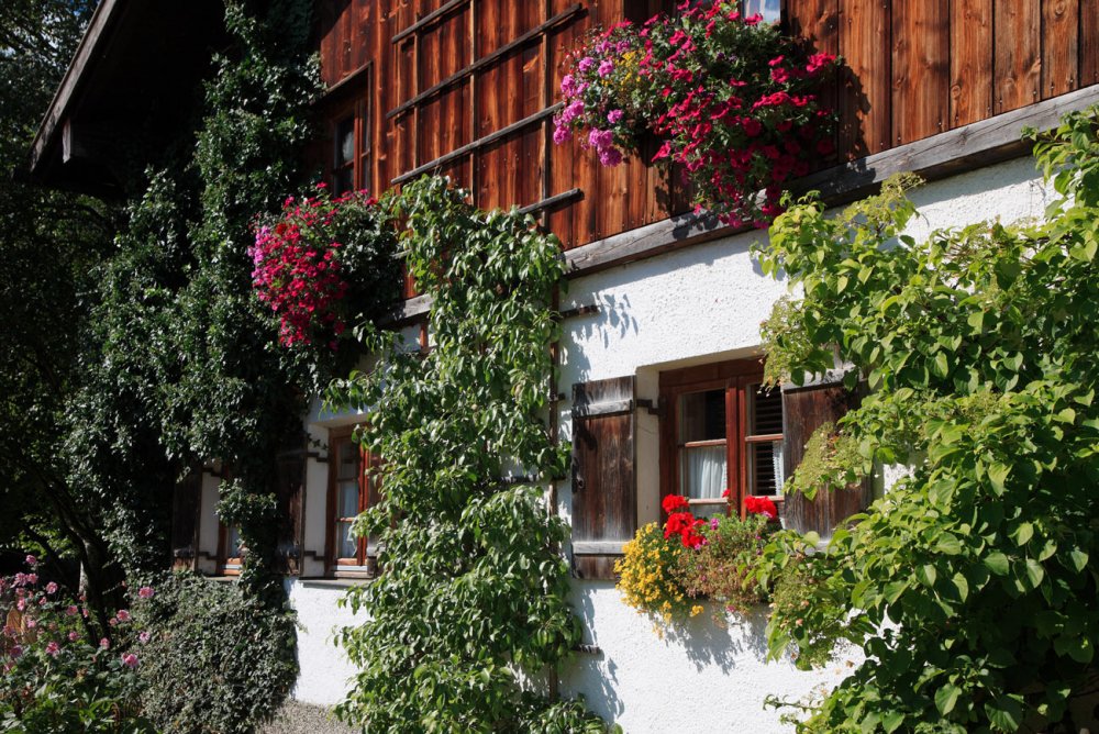 Ortsbild (&copy; Pfronten Tourismus/ E. Reiter : Pfronten Tourismus/ E. Reiter )
