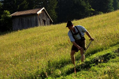 Mähen einer Bergwiese (© Pfronten Tourismus/ E. Reiter : Pfronten Tourismus/ E. Reiter ) Mähen einer Bergwiese (© Pfronten Tourismus/ E. Reiter : Pfronten Tourismus/ E. Reiter )