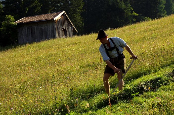 Das Mähen der Bergwiesen ist für den Erhalt der Vielfalt sehr wichtig. Das dort gemähte Bergwiesenheu wird für die Pfrontener Heu-Produkte verwendet.