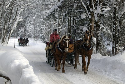 Fahrt im Pferdeschlitten (© Pfronten Tourismus/ E. Reiter : Pfronten Tourismus/ E. Reiter ) Fahrt im Pferdeschlitten (© Pfronten Tourismus/ E. Reiter : Pfronten Tourismus/ E. Reiter )
