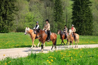 Hoch zu Ross durchs Pfrontener Tal (© Pfronten Tourismus/ E. Reiter : Pfronten Tourismus/ E. Reiter ) Hoch zu Ross durchs Pfrontener Tal (© Pfronten Tourismus/ E. Reiter : Pfronten Tourismus/ E. Reiter )