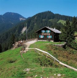 Kappeler Alp Schöne Berghütte auf dem Edelsberg. Erreichbar über Pfronten Kappel, Pfronten Röfleuten über Gundhütte oder ab Nesselwang Alpspitzbahn.
