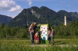 Lehrpfade rund um Pfronten Fünf Natur- Erleben-Pfade ermöglichen Ihnen Wandergenuss und Wissenswertes zu Natur und Kultur zugleich.