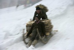 Schalenggen Rennen Traditionelles H�rnerschlittenrennen in Pfronten Kappel am Faschingssamstag