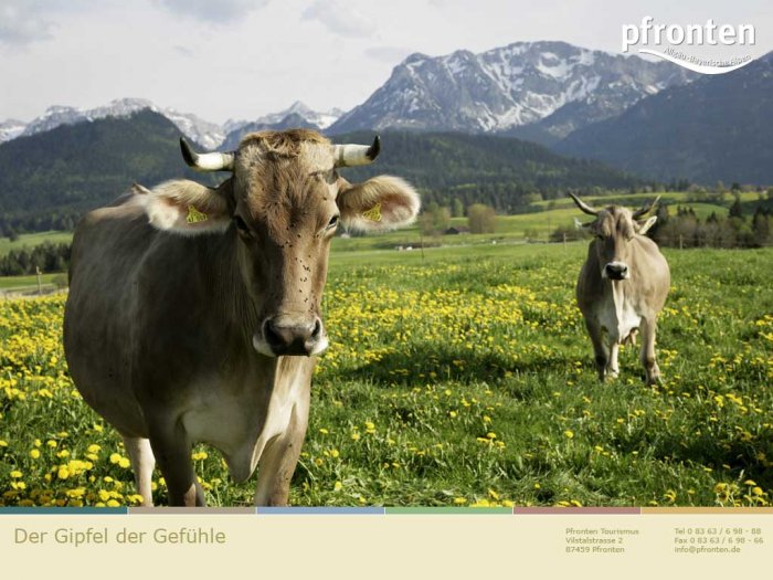 wallpaper_pfronten_05 wallpaper_pfronten_05