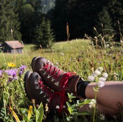 wanderschuhe_ausschnitt_733x731