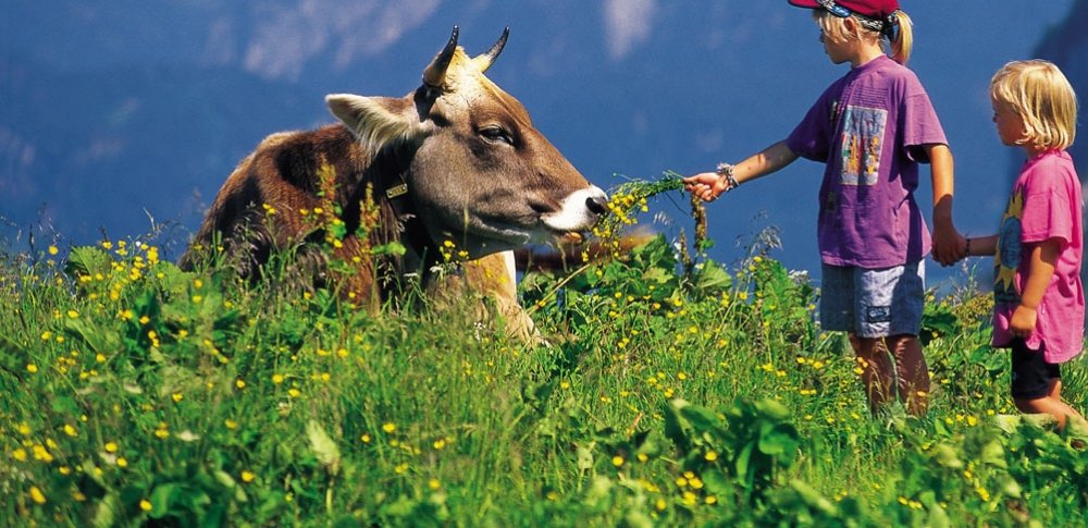 kinderftternkuh_ausschnitt_1002x486 (&copy; Pfronten Tourismus/ E. Reiter : Pfronten Tourismus/ E. Reiter )