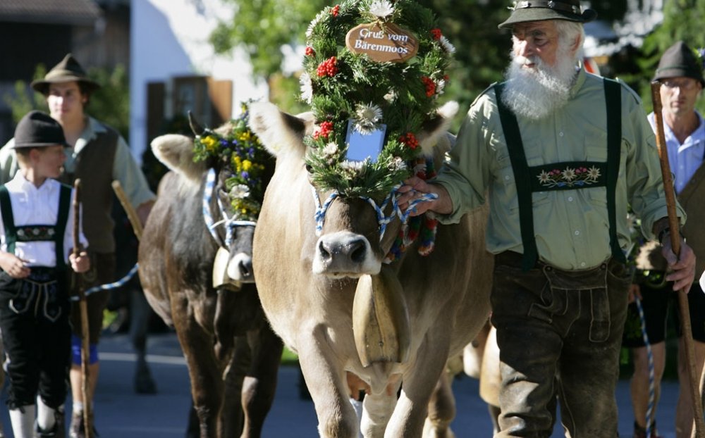 viehscheid_ausschnitt_1002x624128276 (&copy; Pfronten Tourismus/ E. Reiter : Pfronten Tourismus/ E. Reiter )
