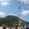 Maibaum