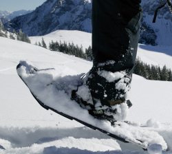 schneeschuh_ausschnitt_1259x1133