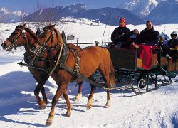 Romantische Pferdeschlittenfahrt