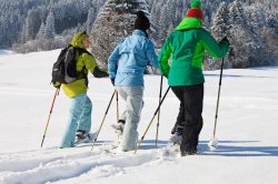 Schneeschuhwandern