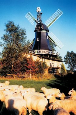 foto36
