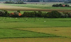 tatshausen_k_ausschnitt_497x294
