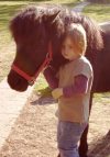Ponys 