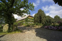 Grabenhof