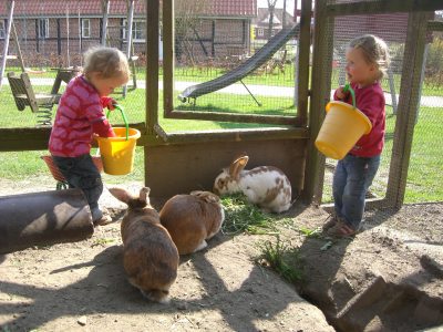 Kaninchen_Fuetterung